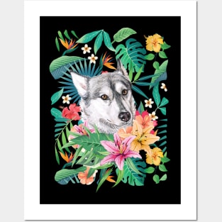 Tropical Siberian Husky 1 Posters and Art